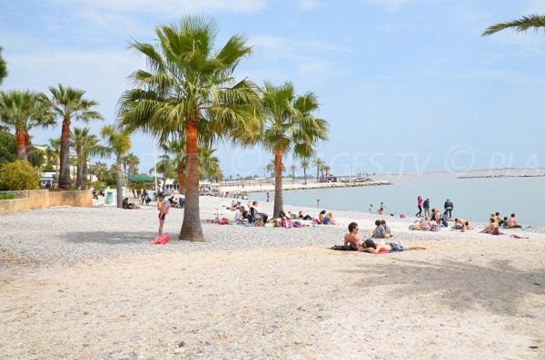 Апартаменты Studio Climatise Le Flot Bleu Proche Plages, Aeroport, Centre Formations, Cap 3000, Cerfpa Сен-Лоран-дю-Вар Экстерьер фото
